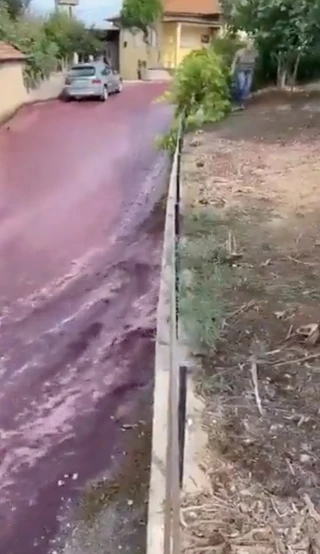 Insolite : du vin dans les rues d’un village portugais
