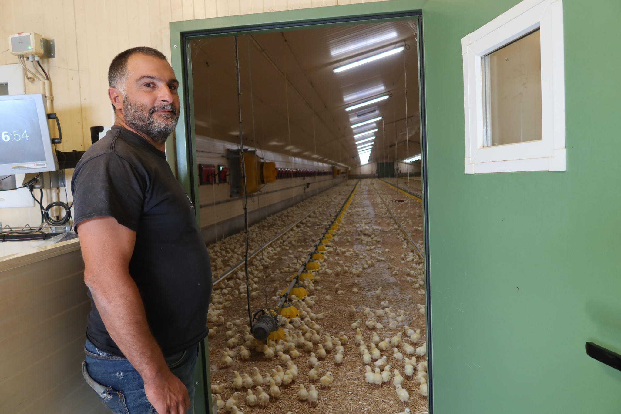 Poulets de chair : « Il me manque 6 centimes d’euro par kilo »