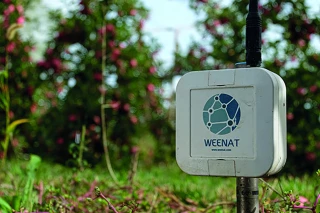 Démocratiser l’utilisation  de sondes tensiométriques