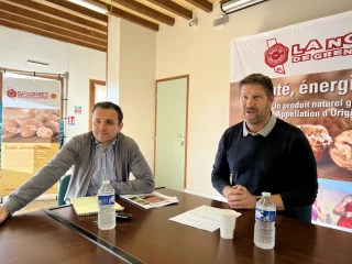 Noix de Grenoble :  la campagne est lancée