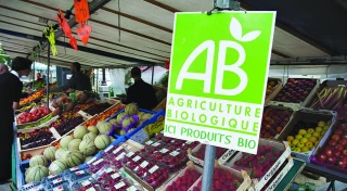 Marché bio : le salut se trouve  dans l’assiette