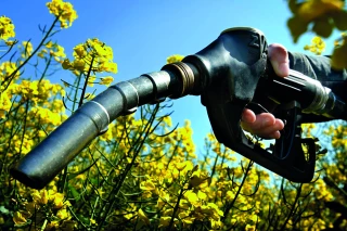 Le biofioul prêt  à remplacer le fioul d’origine fossile