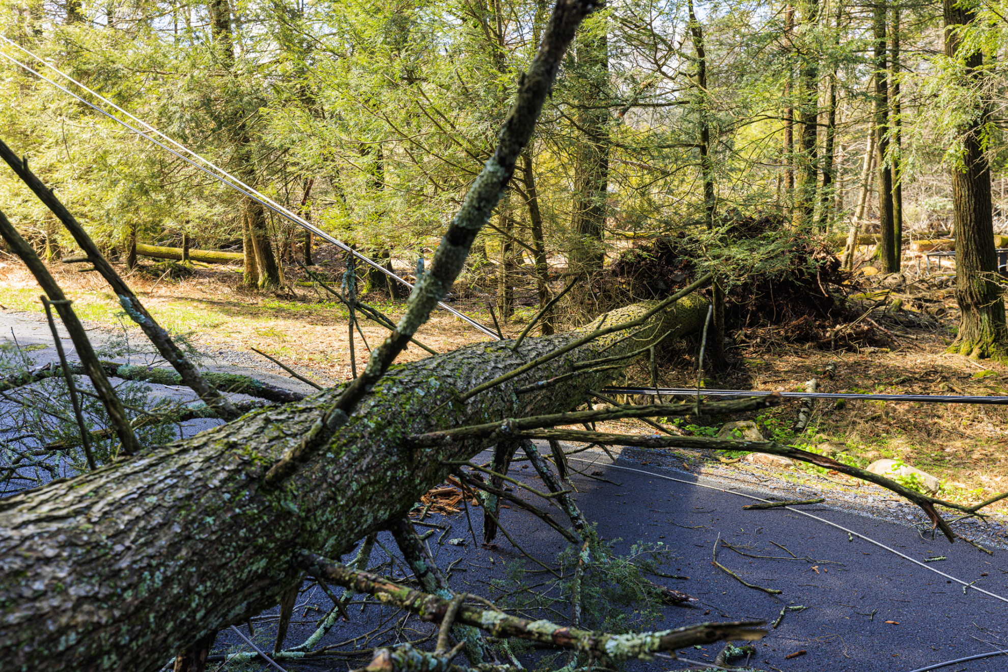 Tempête Ciaran : le rétablissement du réseau électrique, priorité des priorités