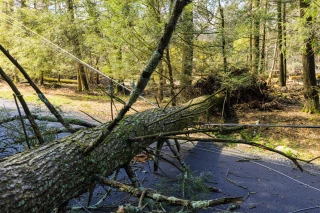 Tempête Ciaran : le rétablissement du réseau électrique, priorité des priorités