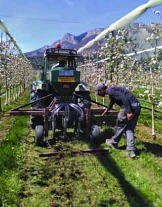 Des leviers afin d’améliorer la fertilité des sols  en agriculture biologique