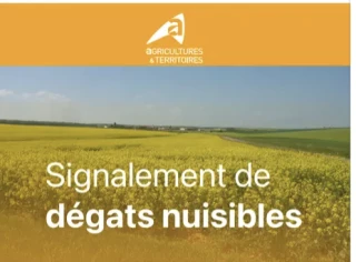 Une nouvelle appli pour faciliter les signalements