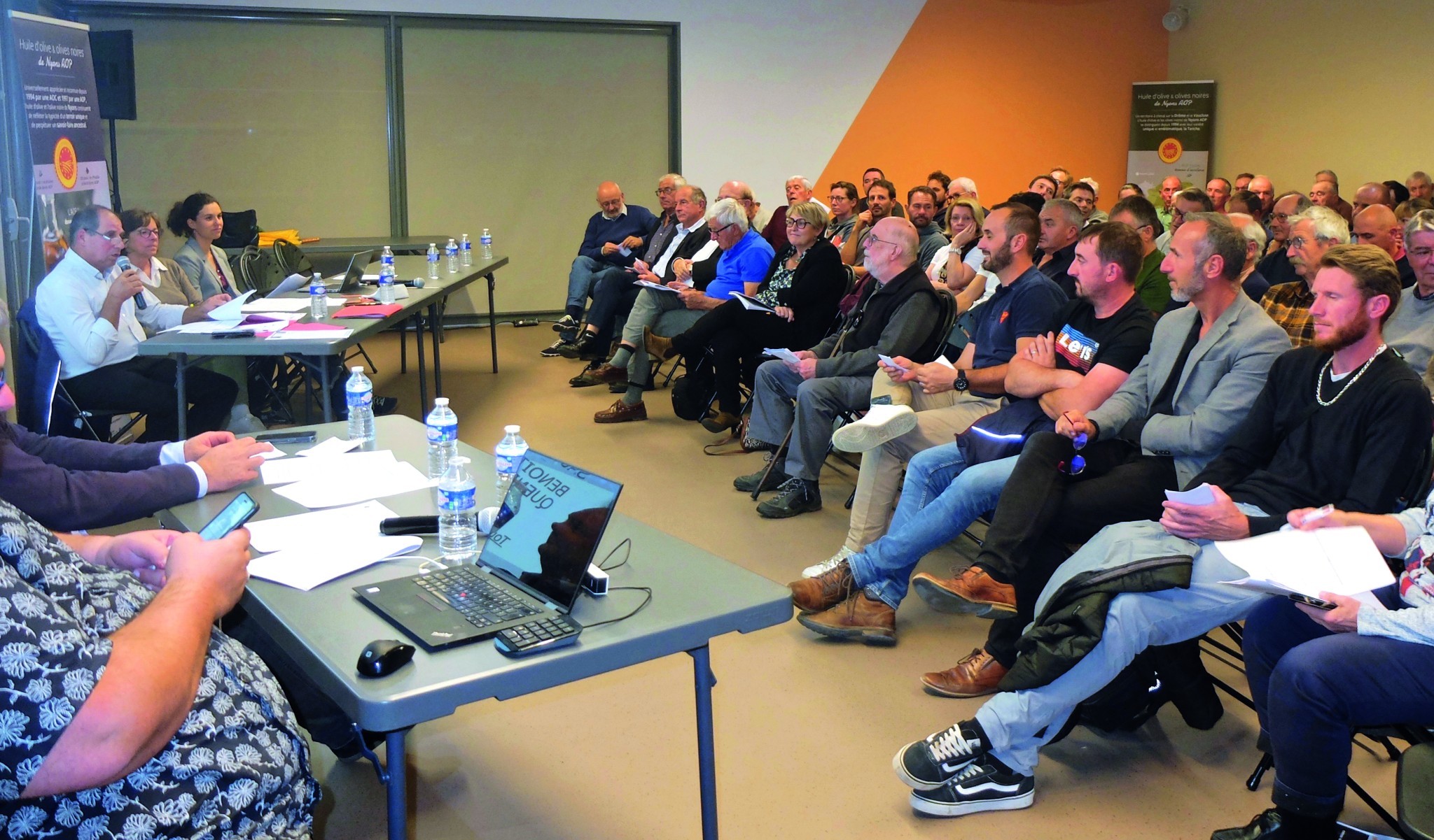 Olives de Nyons et des Baronnies : un secteur dynamique