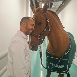 Le cheval Peyo, un soignant pas comme les autres