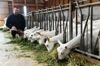 Le syndicat caprin de la Drôme fête ses 60 ans