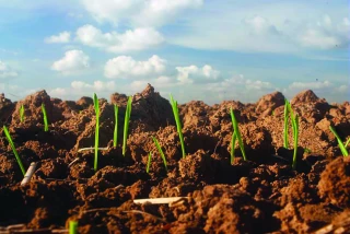 Les fertilités du sol : un triptyque en interaction avec la matière organique