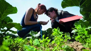 Les filles se font une place dans l’enseignement agricole