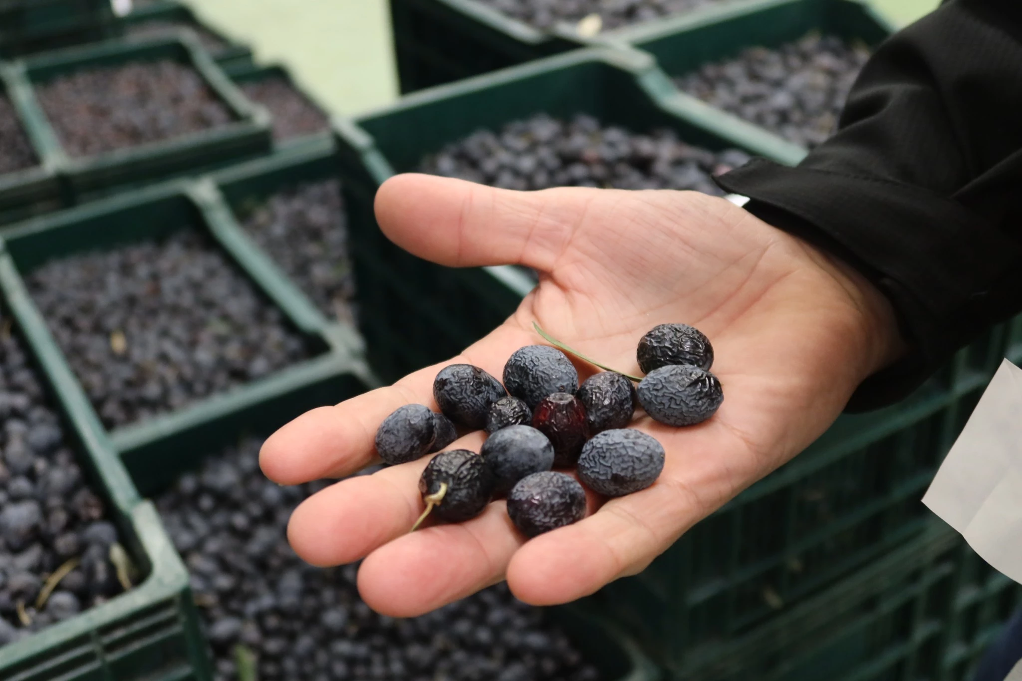 « Le produit du terroir rassure le consommateur »