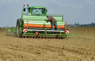 Semis très tardifs de céréales et resemis :  les précautions à prendre
