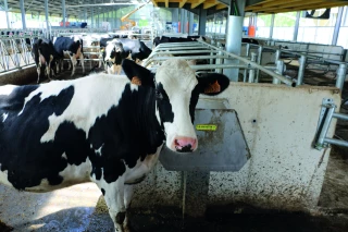Bâtiments d’élevage : de solides fondations coconstruites avec la Région