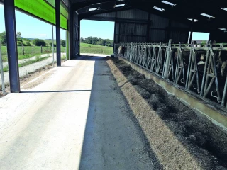 Profiter de la lumière naturelle  en ouvrant le bâtiment sur les côtés