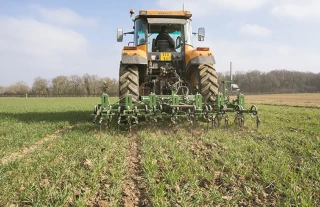 Céréales : profiter de la période  de redoux pour désherber