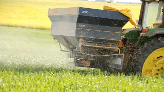Excès d’eau de l’automne : comment adapter la fertilisation azotée des céréales ?