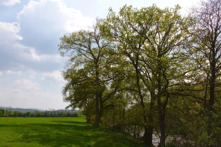 25 priorités pour le Pacte haies