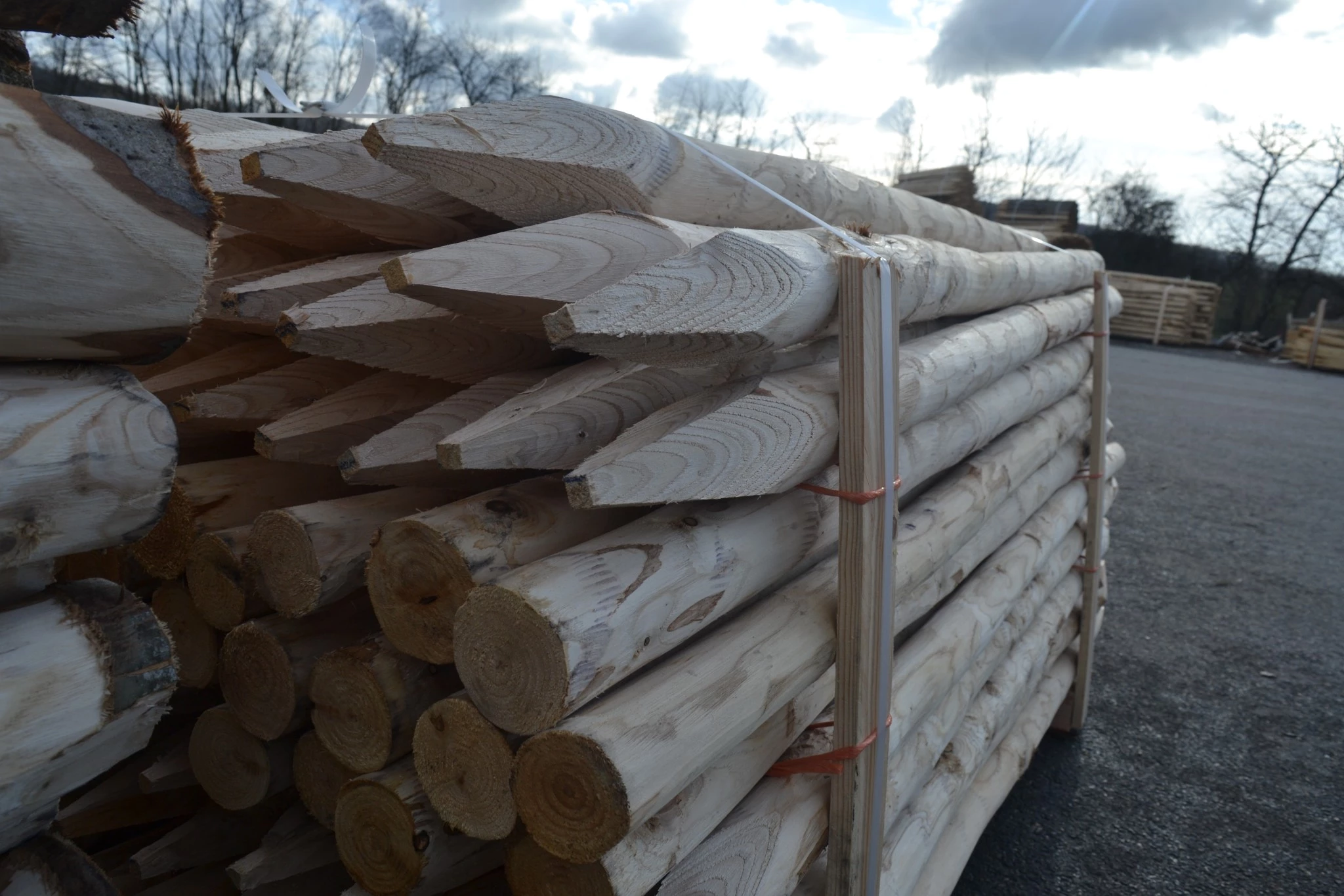Le climat rebat les cartes 