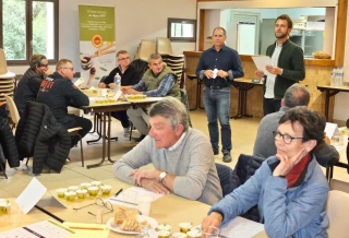 Olives et huile de Nyons : le nouveau millésime jugé