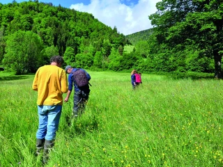 Prairies et parcours :  des pratiques  sous le regard du jury