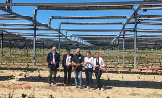 Un vignoble agrivoltaïque dans le Sud-Drôme