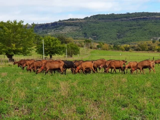 Ferme du Pradel : « Des expérimentations  toujours plus intéressantes et approfondies »