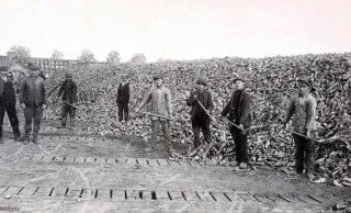 L’agriculture française pendant les JO de 1924 (2/5)