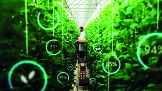 « L’intelligence artificielle est compatible avec l’agriculture familiale »