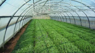 Les fournisseurs  ont changé d’adresse