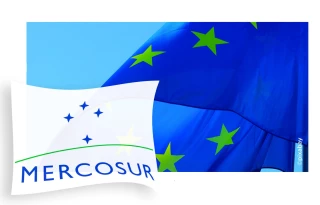 Mercosur : quels impacts sur l'agriculture française ?