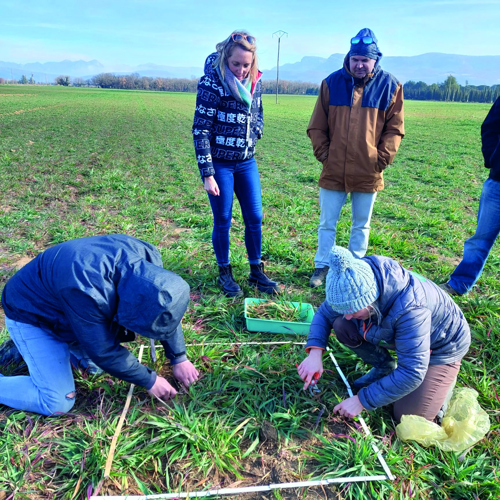  Le projet Mimosa +, pour minimiser  l’impact sur l’environnement