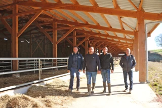 Trois troupeaux réunis  en un seul bâtiment