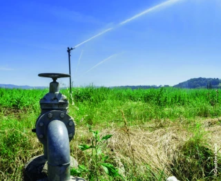 Une agriculture européenne sous de nombreuses contraintes