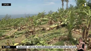 La Réunion : après le cyclone Garance, quatre morts et des «milliers» de fermes «anéanties» 