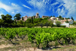 L’AOP Vinsobres en rouge... et blanc