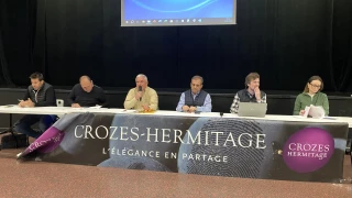 Crozes-Hermitage : « Placer le curseur qualitatif au plus haut »