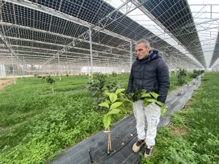 Anthony Oboussier investit l’arboriculture futuriste
