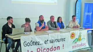 Le Picodon AOP cherche  un nouvel élan