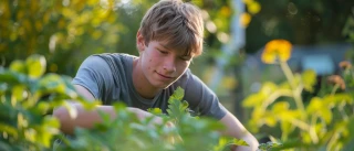 Rémunération nette réduite pour les nouveaux apprentis