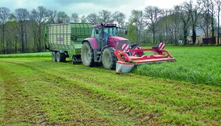 L’affouragement en vert,  entre autonomie et productivité