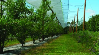 Dephy Expe 2 : la combinaison  de leviers comme leitmotiv