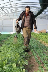 Qu’est-ce qu’un vermicompost ?