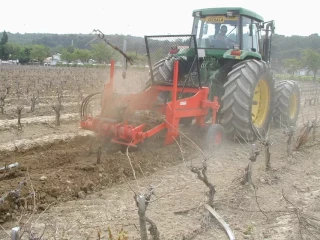Vin : le calendrier des aides à l’arrachage est prolongé de plusieurs semaines
