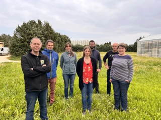 Arbres et légumes ensemble pour produire mieux