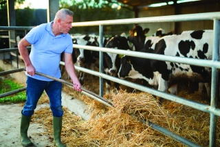 L’élevage français a un rôle à jouer en  faveur de la souveraineté alimentaire 