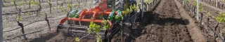 Des nouveautés en travail  du sol en viticulture 
