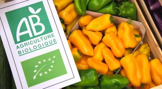 « La bio a un avenir dans la Drôme »