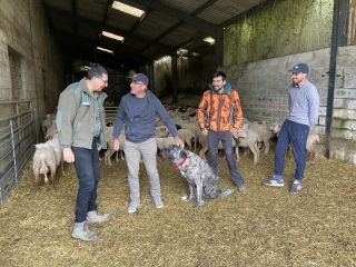 Les louvetiers, ces bénévoles au service de l’agriculture 