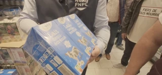 Les éleveurs laitiers dénoncent la « destruction de valeur »